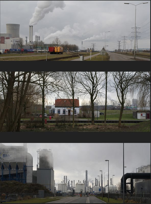 landschap