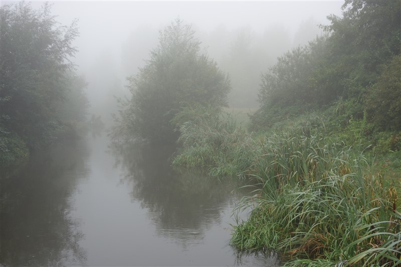 natuur5