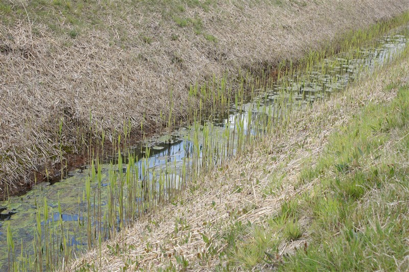 natuur7
