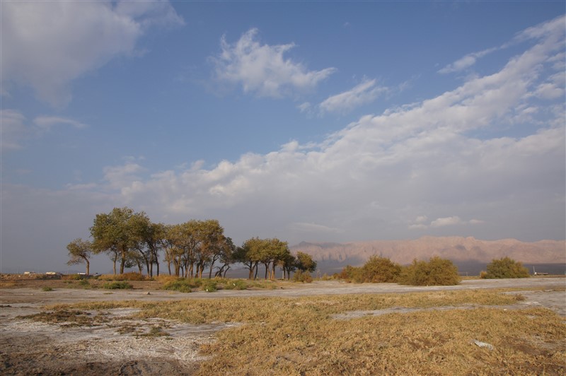 iran7
