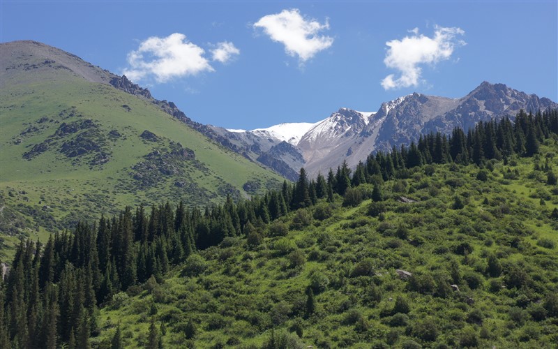 Kirgizië7