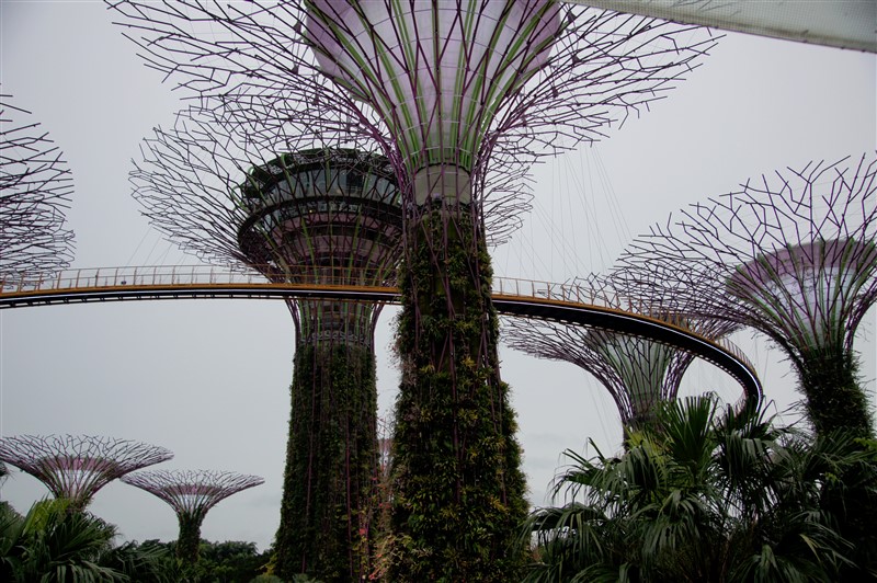 singapore3